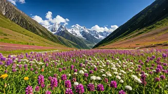 Fix Travel Boredom Planning Uttarakhand Valley Of Flowers Expeditions