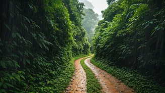 Safer Monsoon Adventures Begin With Better Choices