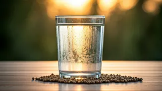 Coriander Seed Water Becomes Hottest Early Morning Anti Bloat Habit