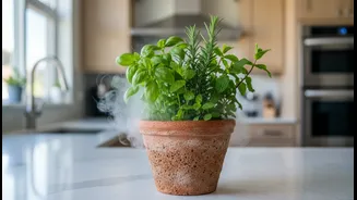 Terracotta's Cooling Properties Are Sparking Fresh Interest Among Urban Home Cooks