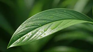 Related Stories banner