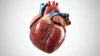 High Cholesterol in India: Understanding Lipid Disorders