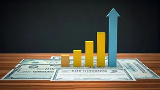 Ditching Single Stocks? Why Index Funds Are Safer Choice