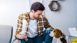 How to Prepare for a Hotel Stay With a Dog That Needs a Routine