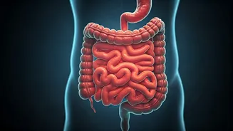 How Fibermaxxing Fixed Urban India’s Complex Digestive Health Issues