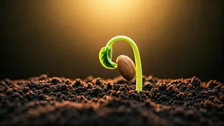 Unlock Lasting Change: 5 Proven Steps to Master Your Habits