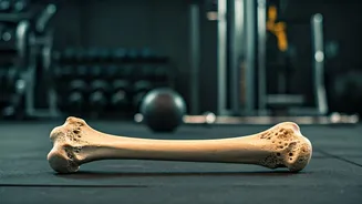 Winter Workouts: 9 Exercises for Strong Bones