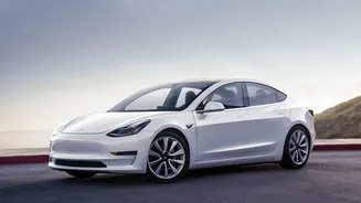 Gurugram Traffic Gives Tesla a Real-World Computer-Vision Stress Test