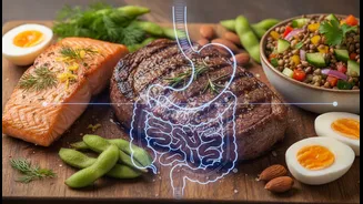 Study Suggests Digestibility Plays a Bigger Role Than Protein Labels Reveal