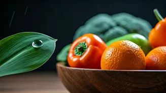 Beat the Monsoon Blues: Essential Health Tips to Stay Well During Rainy Season