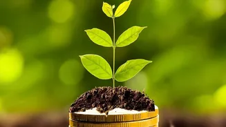India's New Startup IPOs: How To Think About Valuation, Risk And Growth
