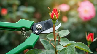 June Garden Prep Needs Practical Pruning Energy