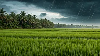Why You Need To Experience Goa's Wet Festive Culture