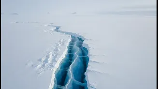 Antarctica's Ice Loss Needs Less Distance, More Clarity