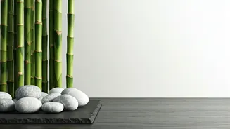 Bamboo And Smooth River Pebbles Create Ultimate Apartment Zen Corners