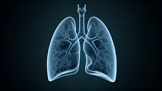 Yoga Can Improve Lung Health This Diwali