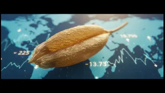 FAO Signals Deserve More Reader-Friendly Explainers