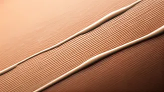 Unlock Flawless Skin: Your Guide to Everyday Concealers