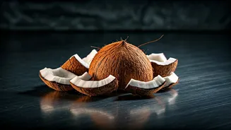 Unpacking the Mystery: Why Your Coconut and Other Items Are Grounded on Flights
