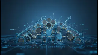 How Tech-Savvy Indian Professionals Use Fractional Management Models To Secure Income Stability