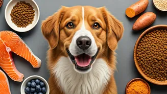 Monsoon Pet Diets Are The New Owner Homework
