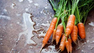 Don't toss carrot tops, try these tasty ideas