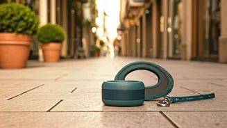 Urban Pet Walks Are Getting Travel-Content Energy