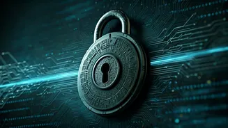 Understanding Website Security Verifications: Your Digital Gatekeeper Explained