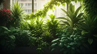 City Balconies Become Mini Jungles