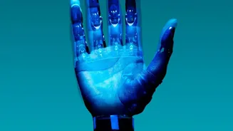 AI And Indian IT Jobs: The Skills Employers May Value More
