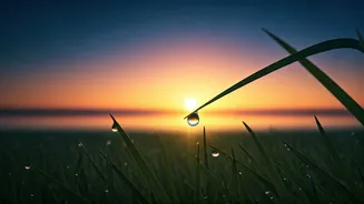 Unlock Your Day: 7 Powerful 5 AM Affirmations to Shape a Brilliant Morning