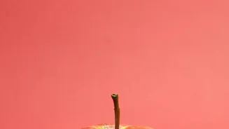 Long-Term Weight Stability Depends On More Than Willpower