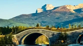 Canadian Rockies Hiking Trails: Wildlife Awareness on Canadian Mountain Hiking Trails