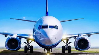 Google Bids $10 Million for Spirit Airlines Business Records to Develop Products and Train Models