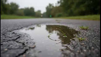 Rain Doesn't Eliminate Dehydration Risk For Walkers, Runners And Gym-Goers