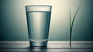 How Young Devotees Test Mental Endurance Via Waterless Fasting