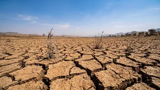 Monsoon 2026 Finale: What A Drier September Could Mean For India's Agriculture