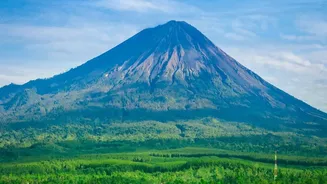 The Flight Cancellations Angle In The Mount Anak Krakatau Story