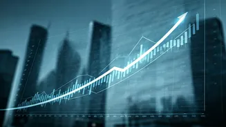 Invest Wisely And Thrive With Market Tools