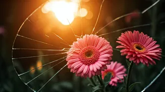 Navigating Heartbreak: Support & Resilience in Relationships