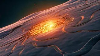 Namita Thapar's Health Insight: Why Ferritin, Not Just Haemoglobin, is Key for Women's Vitality