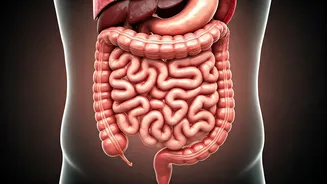 Caffeine's Grip: The Downside of Reliance