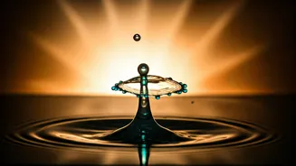 Waterless Fasts And Holy Chants Dominate Nirjala Ekadashi