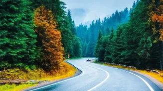 Five Rainy-Season Trips For Travellers Who Enjoy Wet Weather