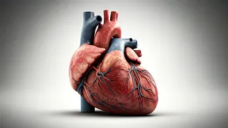 Kim K's 16-Pound Transformation: Health Risks & Lessons Learned