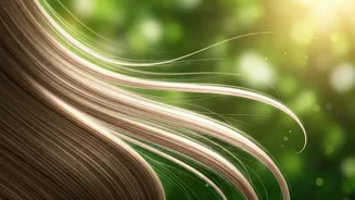 Related Stories banner