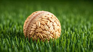 Oats: A Healthy Addition to the Indian Diet