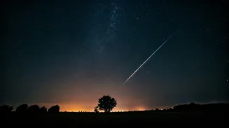 Meteor Season Needs Less City Light, More Planning
