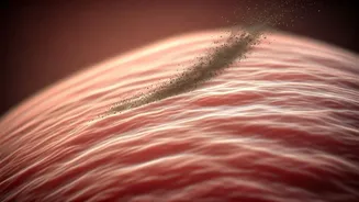 Invisible Threat: How Air Pollution Silently Harms Children's Lungs & What to Do