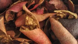 Pomegranate husk: A superfood you didn't know about